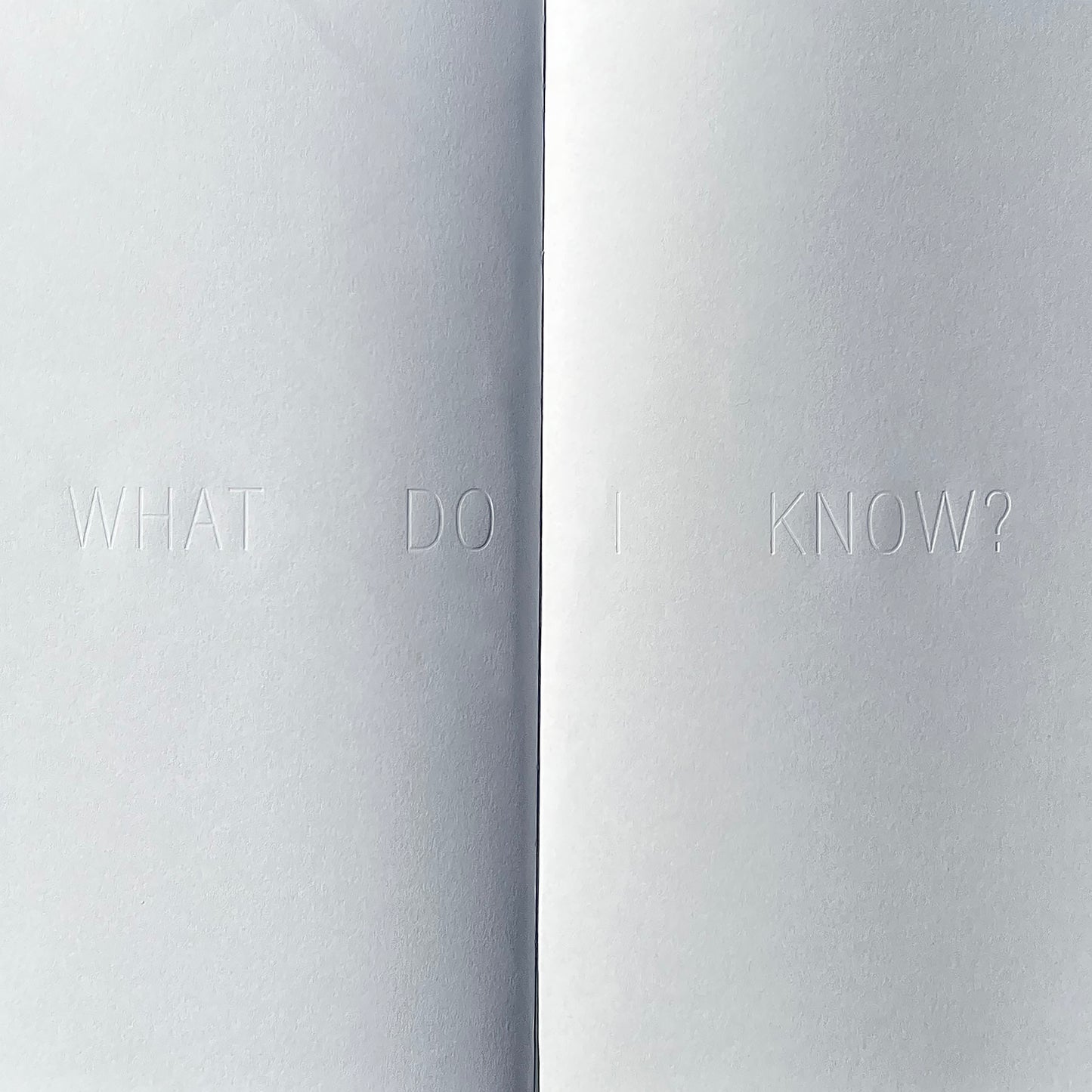 JING W - WHAT DO I KNOW